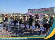 Perkuat Swasembada Pangan, Danramil Beji Turun Langsung Tanam Padi Bersama Petani