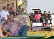 Tasyakuran Panen MT2, Babinsa Gempol Kobarkan Semangat Ketahanan Pangan