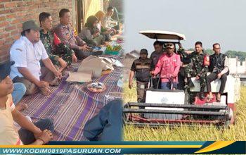 Tasyakuran Panen MT2, Babinsa Gempol Kobarkan Semangat Ketahanan Pangan