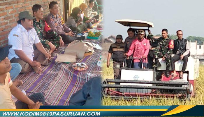 Tasyakuran Panen MT2, Babinsa Gempol Kobarkan Semangat Ketahanan Pangan