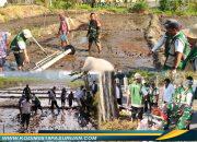 Percepatan Tanam Padi dengan Teknologi PMAAS di Pandaan, Wujud Sinergi Perkuat Ketahanan Pangan Daerah